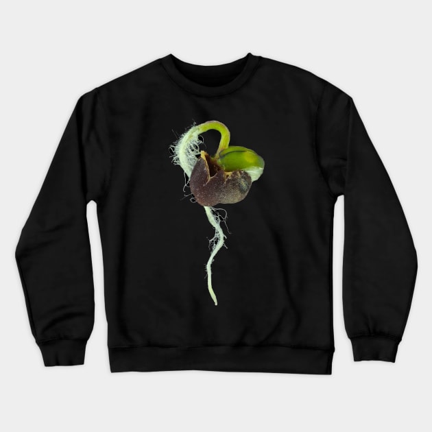 Reflected light micrograph of young turnip sprout Crewneck Sweatshirt by SDym Photography